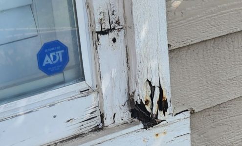 Moat Termite & Pest Control