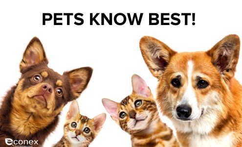 Econex Pest Management