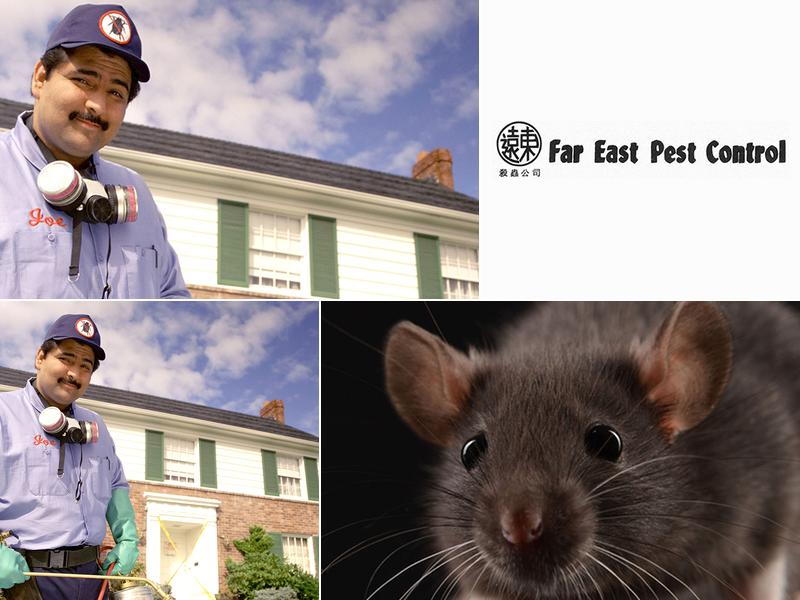 Far East Pest Control