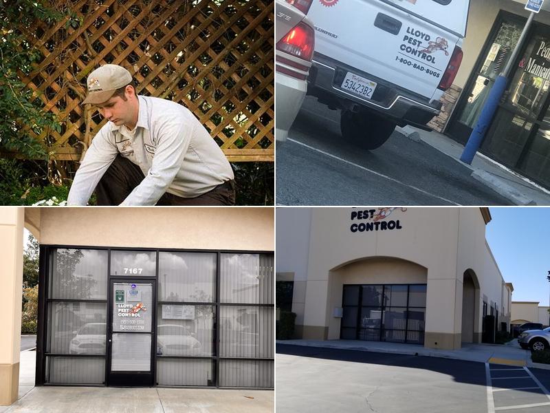 Lloyd Pest & Termite Control