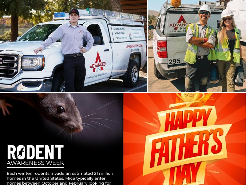 Advanced Integrated Pest Management