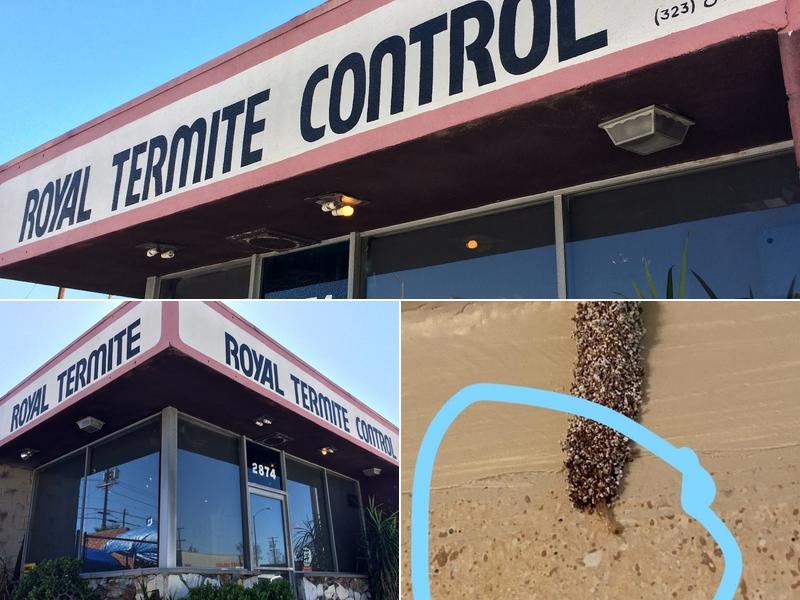 Royal Termite Control, Inc.