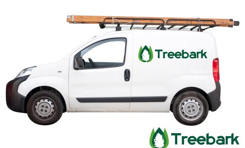 Treebark Termite and Pest Control Torrance 3868 W Carson St 3rd floor, Torrance California 90503