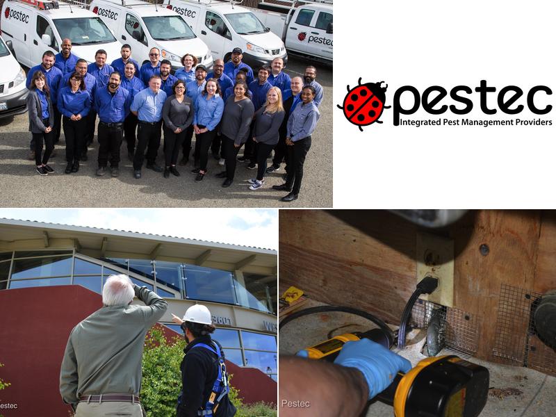 Pestec Pest Control East Bay