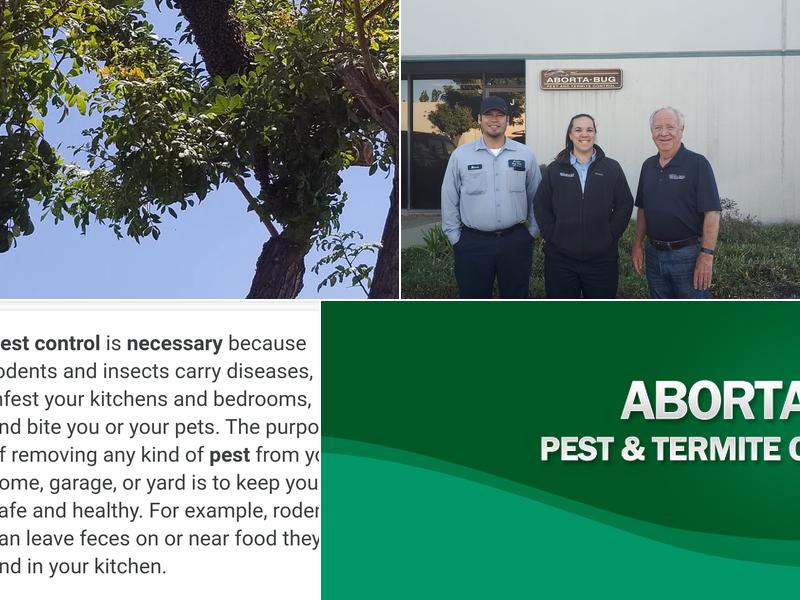 Aborta-Bug Pest & Termite Control