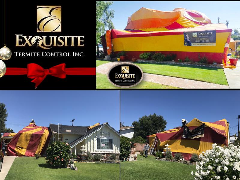 Exquisite Termite Control Inc.