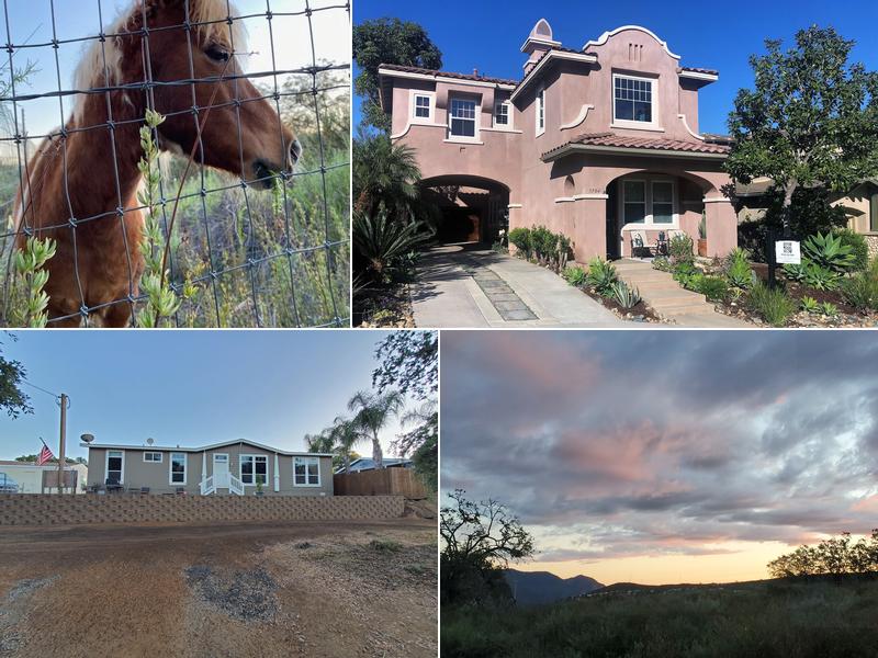 Lloyd Pest & Termite Control