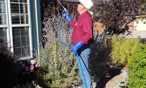 Stampede Pest Control Nevada