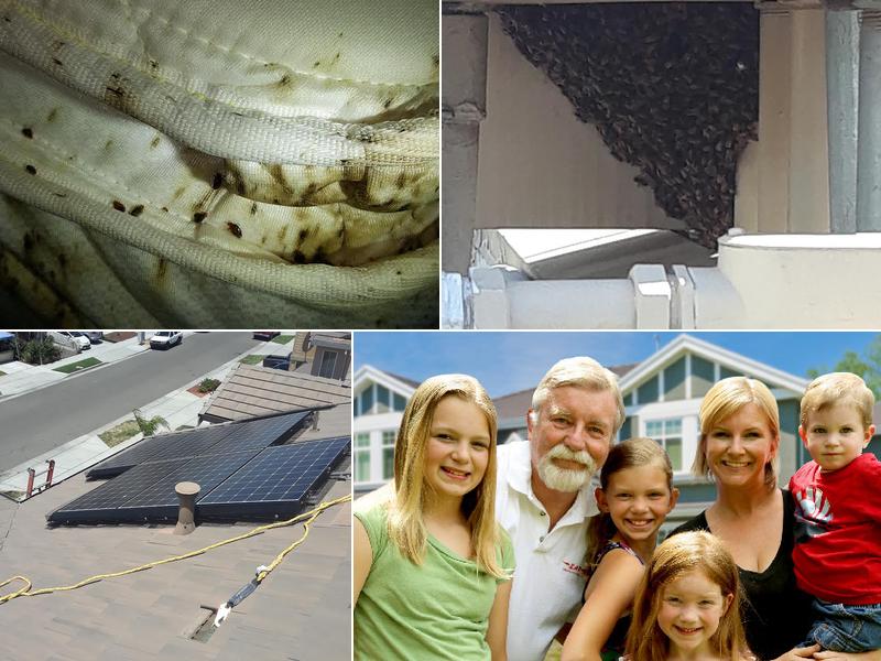 Zap Termite & Pest Control, Inc.