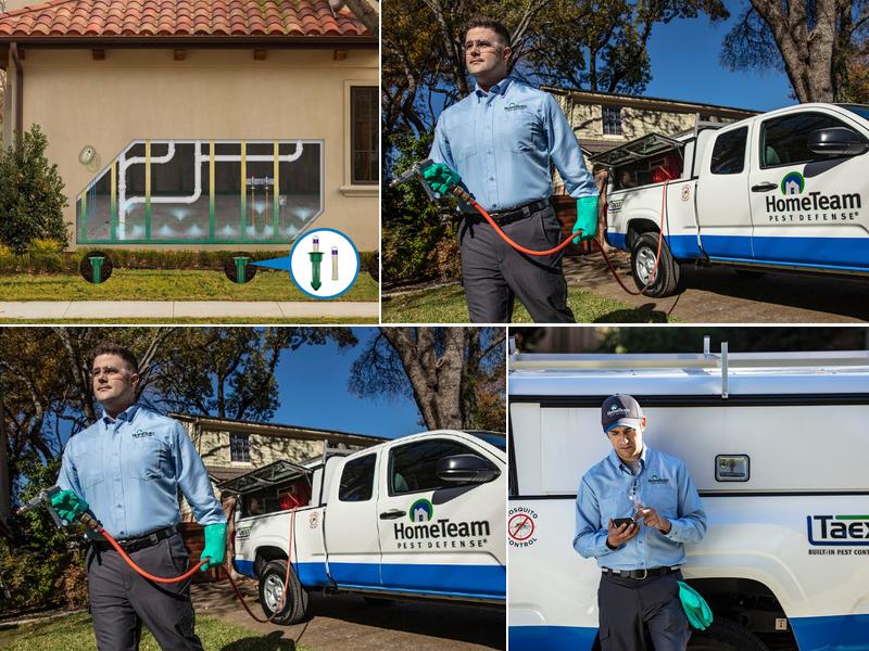 HomeTeam Pest Defense