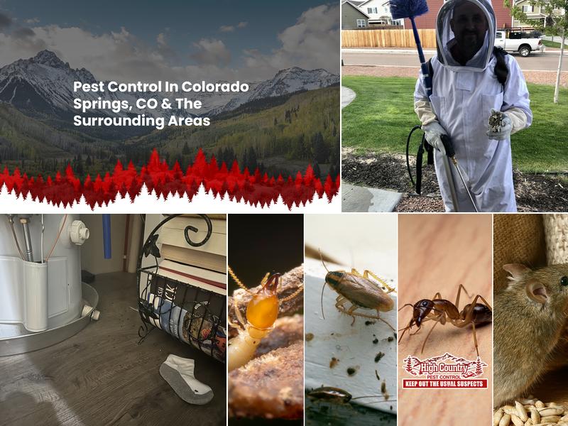 High Country Pest Control