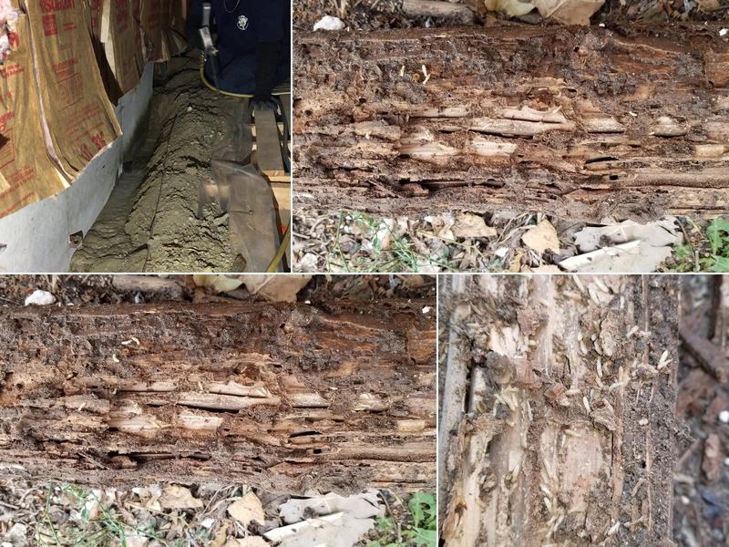 Mug-A-Bug Pest & Termite Control