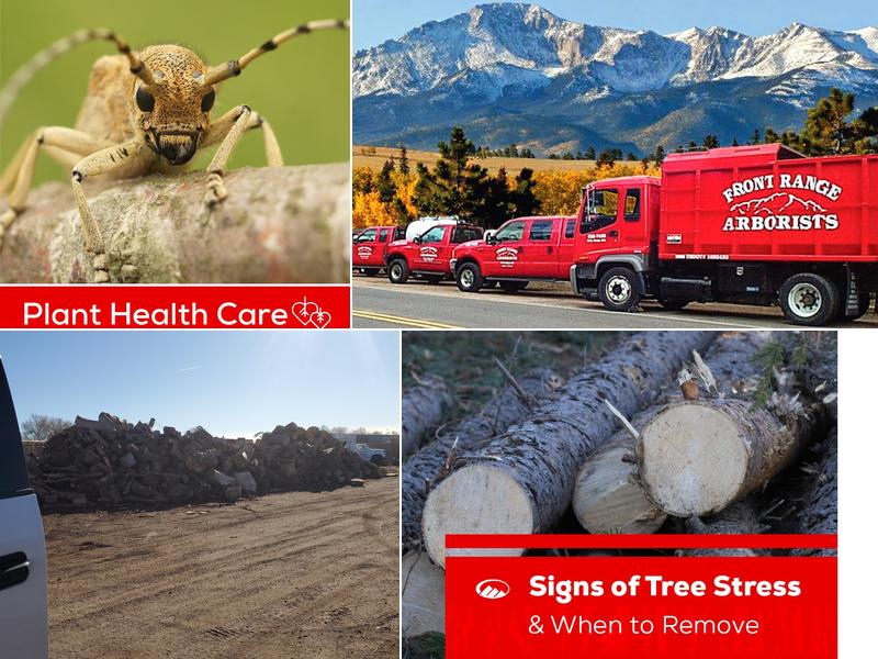Front Range Arborists, Inc.