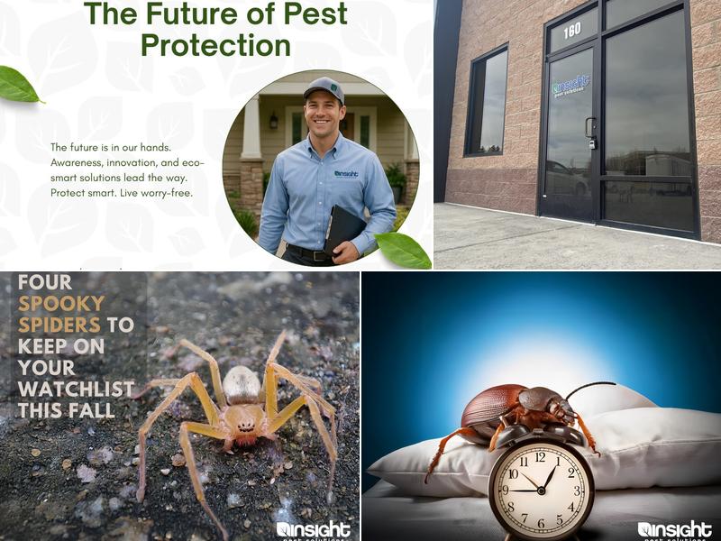 Insight Pest Solutions
