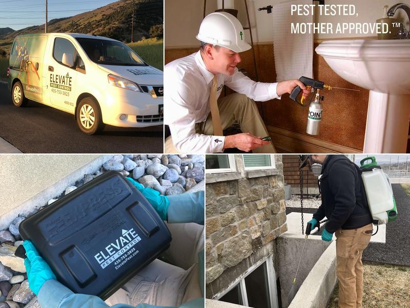 Elevate Pest Control