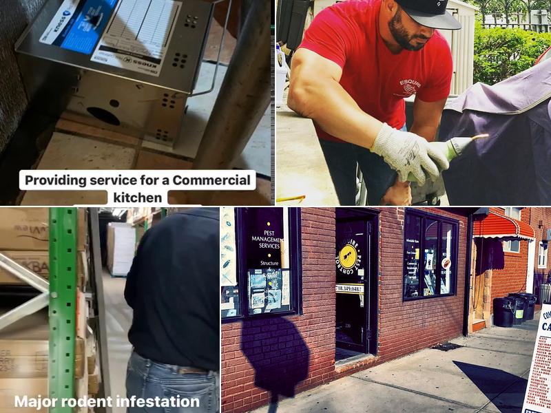 Esquire Exterminating Services Inc