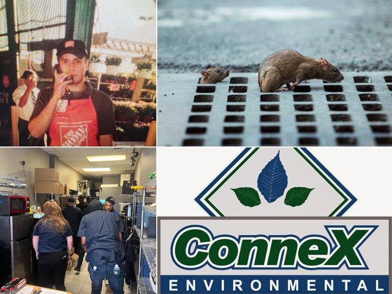 Pest Control Going Beyond