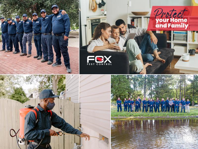 Fox Pest Control - Rhode Island