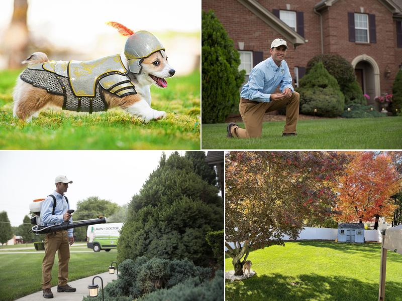 Lawn Doctor of Hartford-Manchester