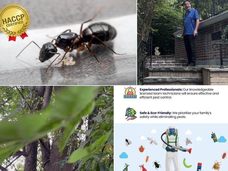 Long Island Exterminating Company