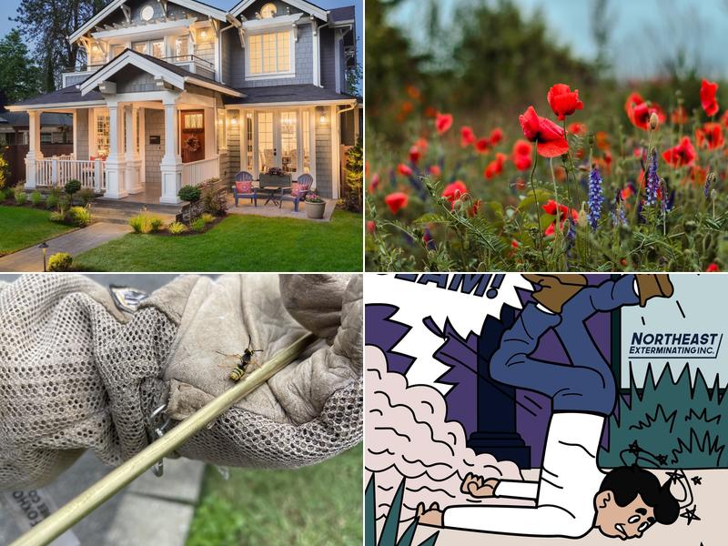 Northeast Exterminating, INC.