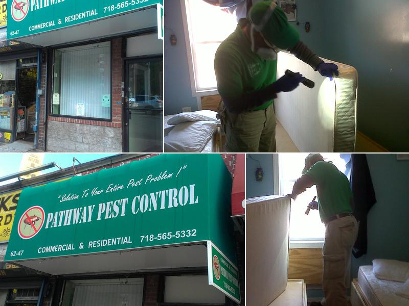 Pathway Pest Control