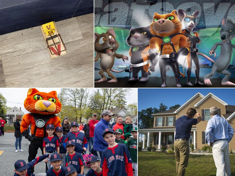 Catseye Pest Control - Boston, MA