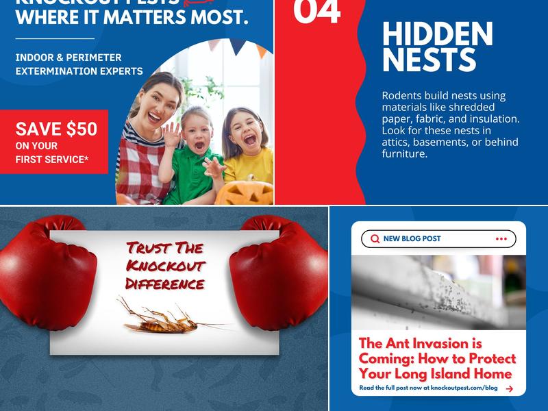 Knockout Pest Control