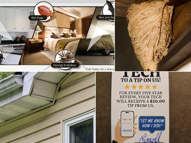 Dependable Exterminating