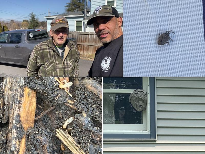 StrongArm Pest Control