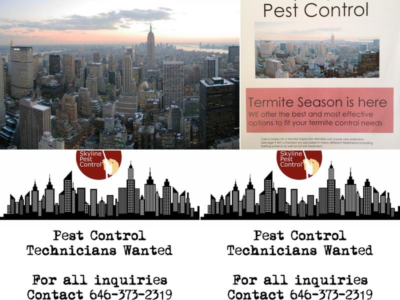 City Skyline Pest Control