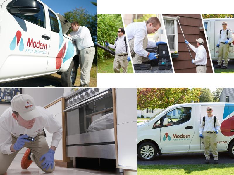 Modern Pest Services