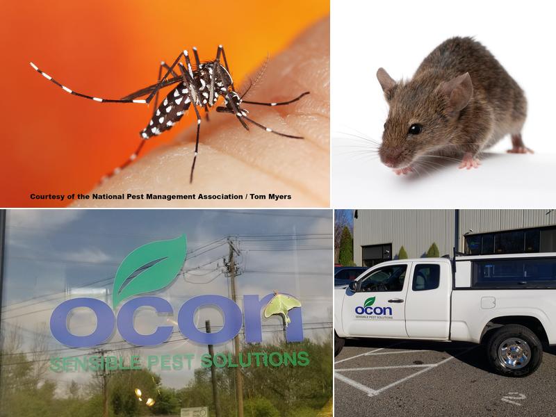 Ocon Termite & Pest Control