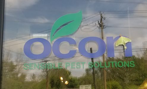 Ocon Termite & Pest Control