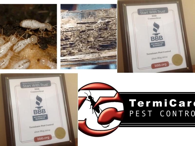 Termicare Pest Control