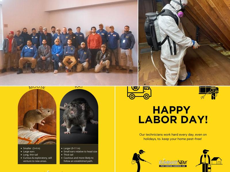 Eliminate 'Em Pest Control Services