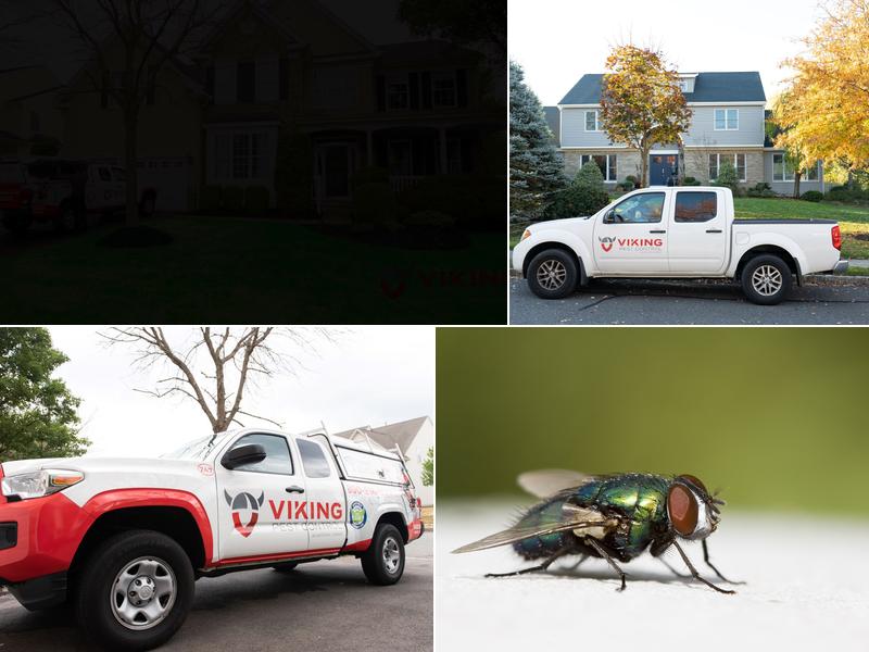 Viking Pest Control