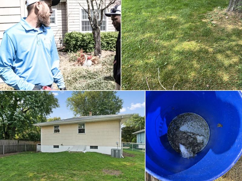 Mosquito Authority of Delaware