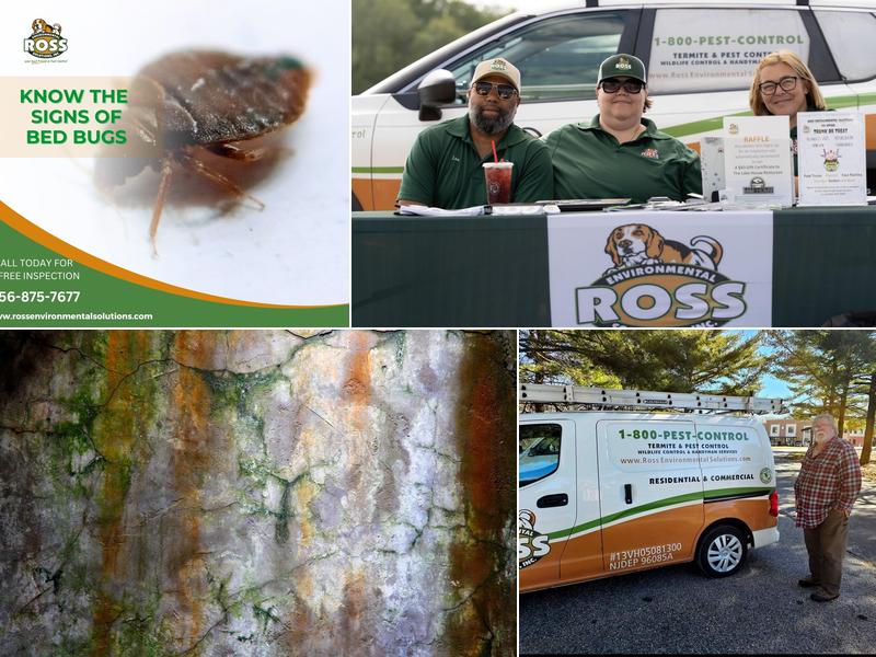 Ross Environmental Solutions