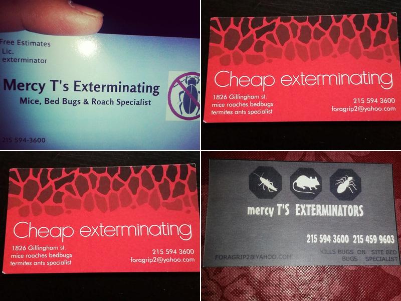 cheap exterminating