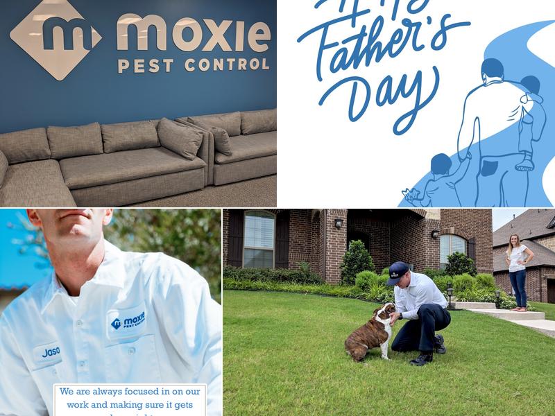 Moxie Pest Control