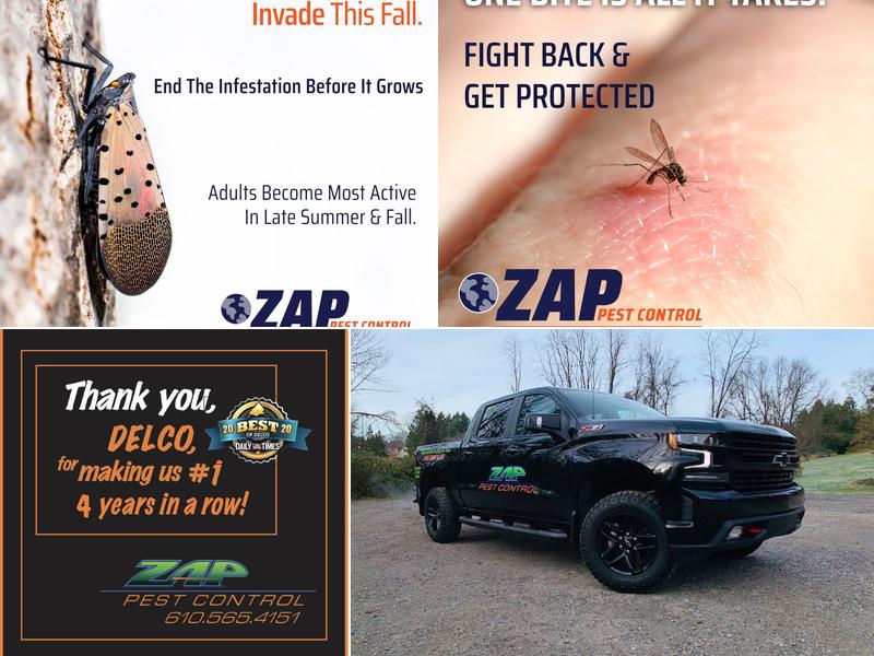 Zap Pest Control LLC