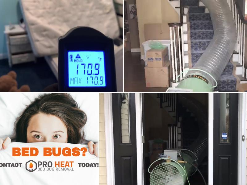 Pro Heat Bed Bug Removal