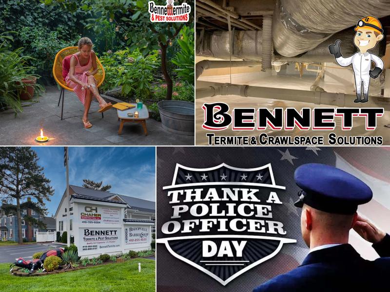 Bennett Termite & Pest Solutions