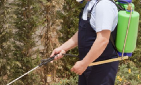 Couch's Pest Patrol Inc