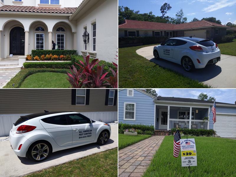 All American Pest Control