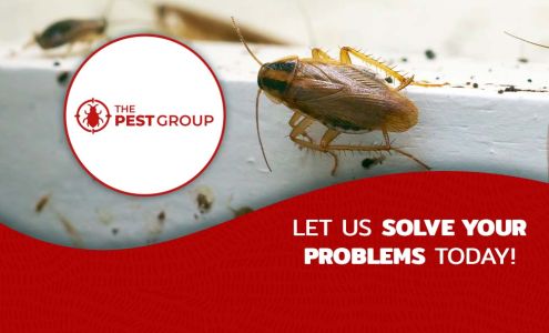 The PEST Group 10508 SW 185th Terrace, Cutler Bay Florida 33157