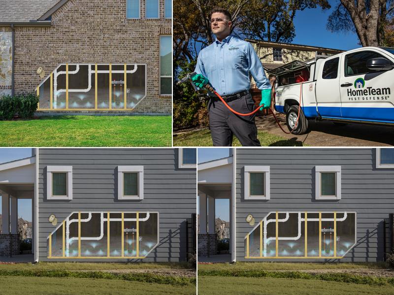 HomeTeam Pest Defense