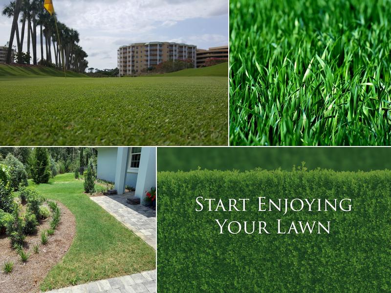 McMaster Lawn & Pest Services