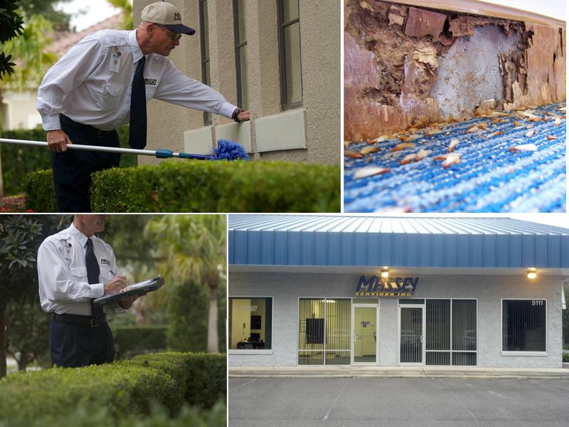 Massey Services Pest Control